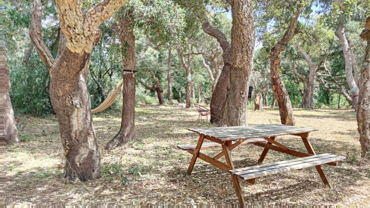 Апартаменты Les Pierres De La Massane - Vue Sur Les Alberes Аржель-сюр-Мер Экстерьер фото